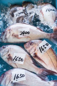 ホンマでっかTVの意外と知らない魚情報!