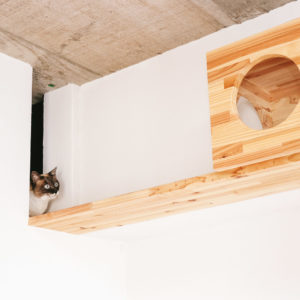 目標達成のコツは「部分分けスキル」にあり