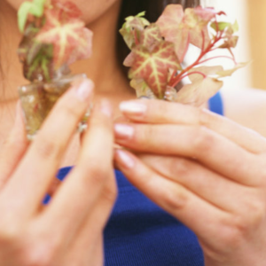 帽子を被ると薄毛になる?