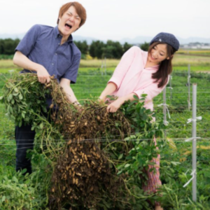 薄毛はどこで判断されるの?