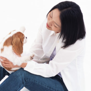 薄毛に似合う髪型は？