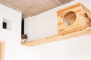 目標達成のコツは「部分分けスキル」にあり